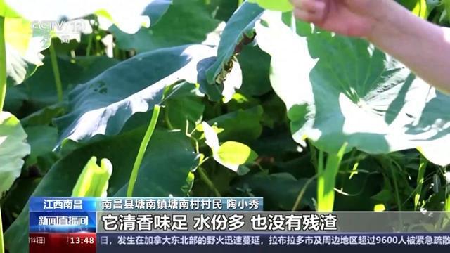 小孩子才做选择 荷叶饼、米粉生、米乐m6荔枝冰粉我都要！(图1)