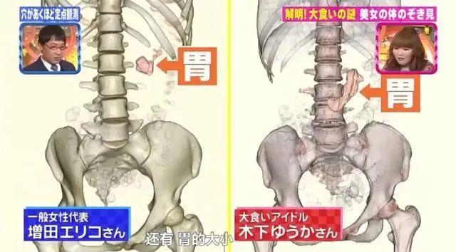 mile·米乐m6年入百万的网红吃播穿着JK裙吃完鲨鱼摘雪莲(图7)